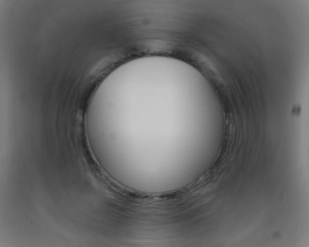 X0000093230550200709261511