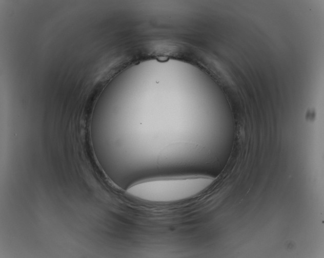 X0000093230551200709261511