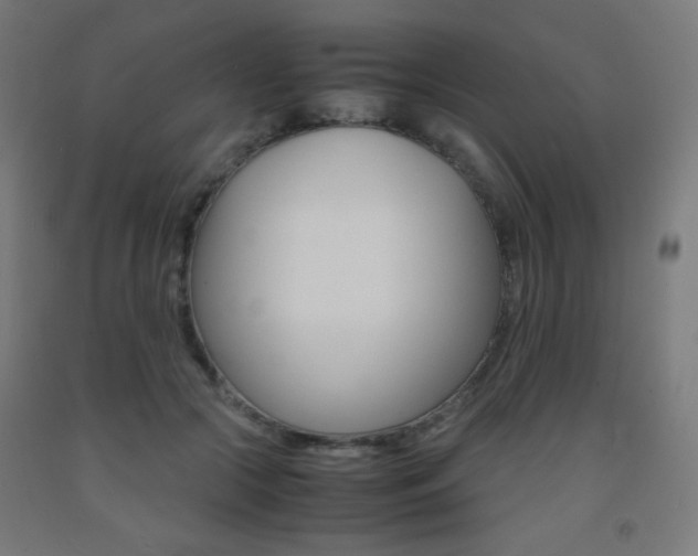 X0000093230553200709261511