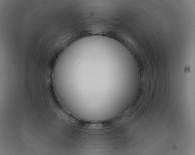 X0000093230554200709261511
