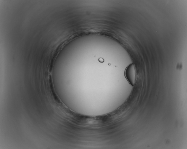X0000093230555200709261511