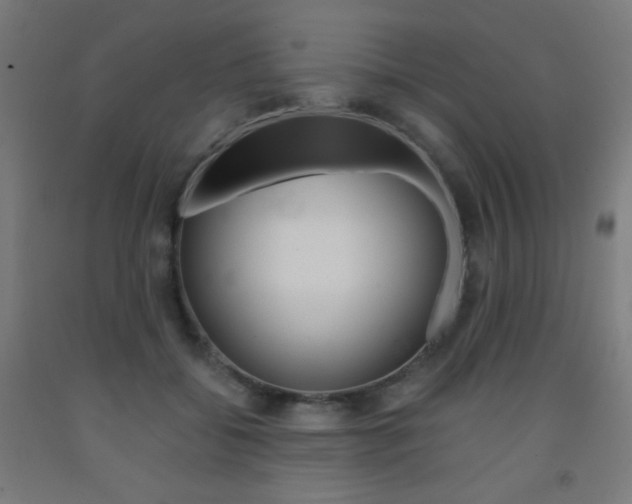 X0000093230556200709261511