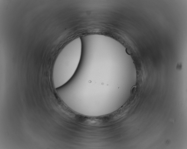 X0000093230557200709261511