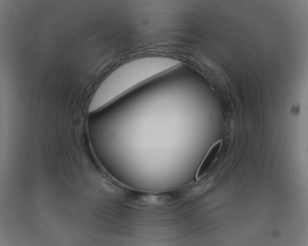X0000093230558200709261511