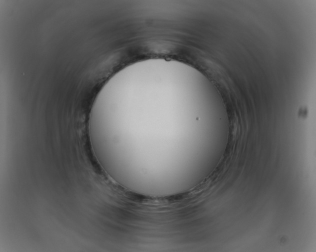 X0000093230559200709261511