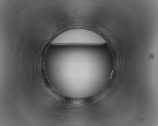 X0000093230560200709261511