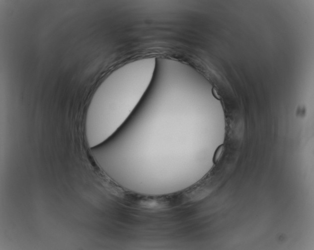 X0000093230561200709261511