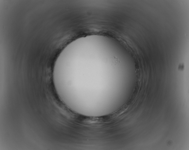 X0000093230563200709261512