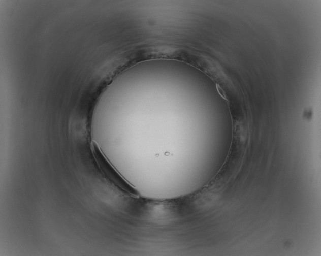 X0000093230564200709261512
