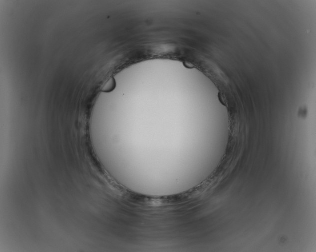 X0000093230565200709261512