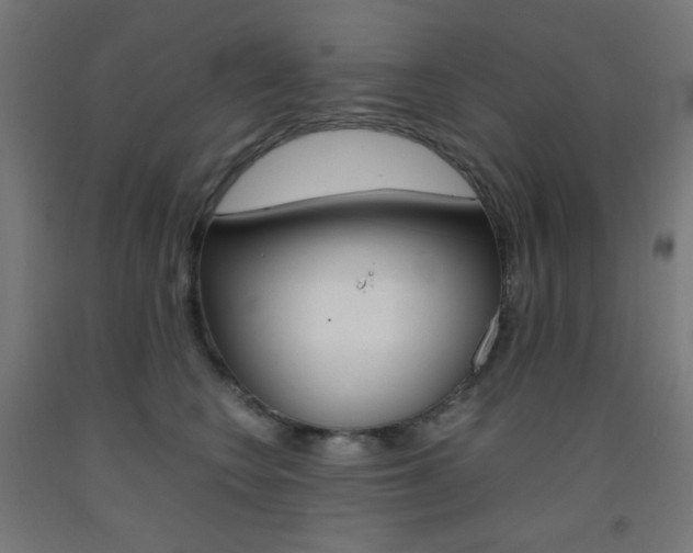 X0000093230566200709261512