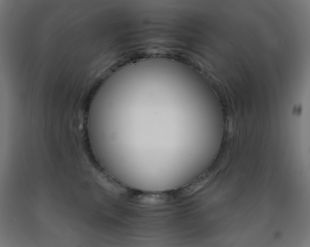 X0000093230567200709261512