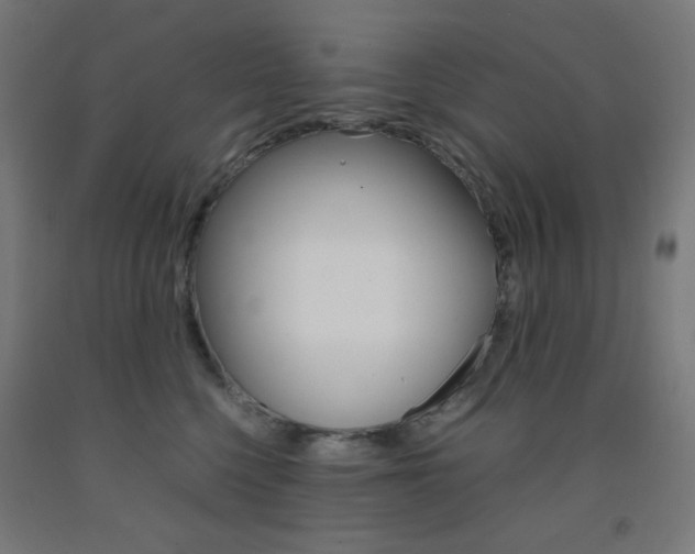 X0000093230568200709261512