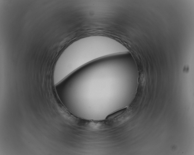 X0000093230570200709261512
