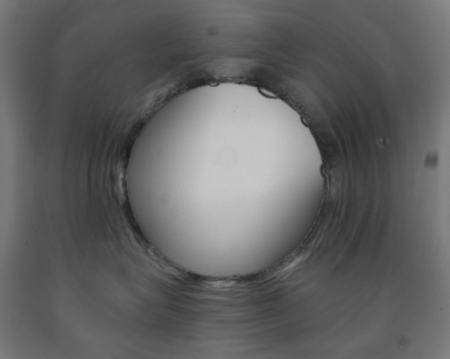 X0000093230575200709261512
