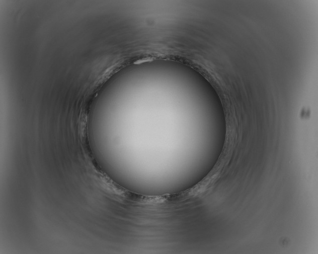 X0000093230576200709261512
