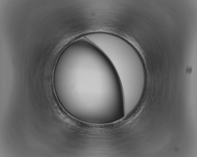 X0000093230577200709261511