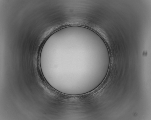 X0000093230578200709261511