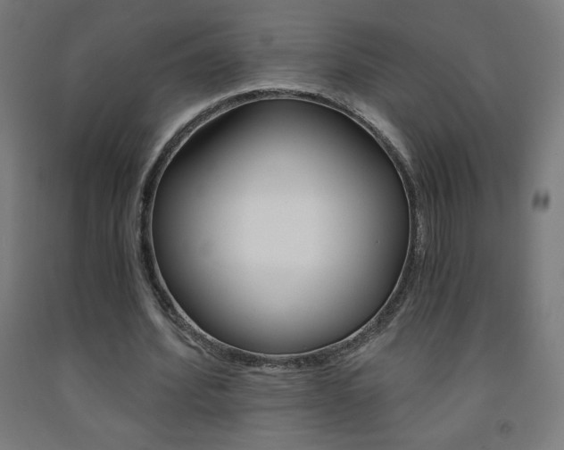 X0000093230580200709261511