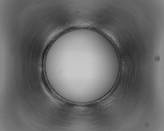 X0000093230582200709261511