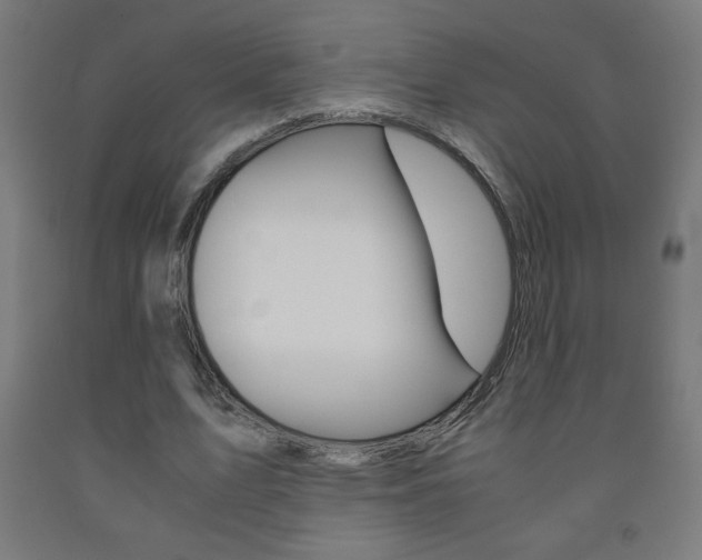 X0000093230583200709261511