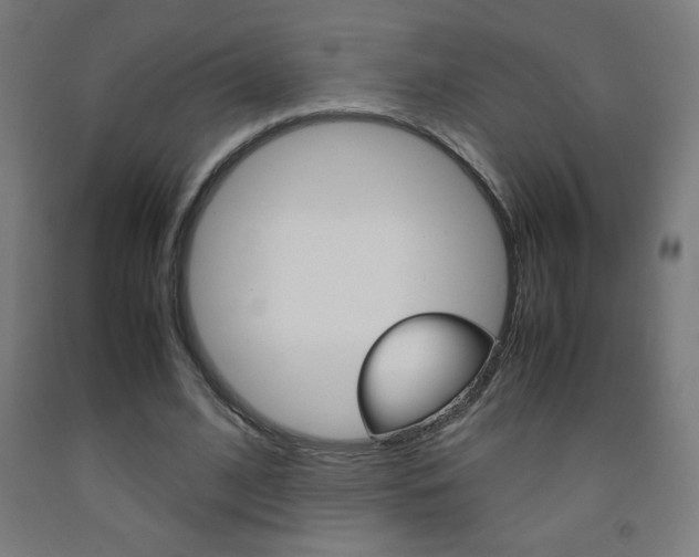 X0000093230584200709261511