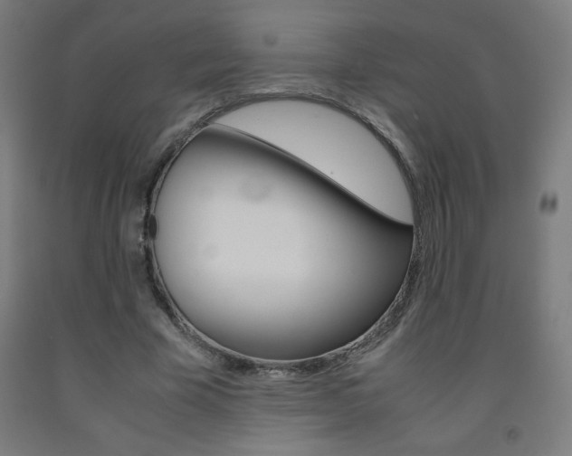 X0000093230585200709261511