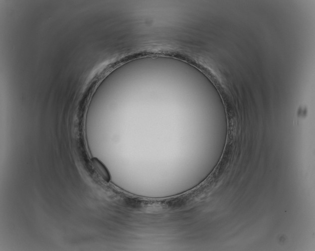 X0000093230587200709261511