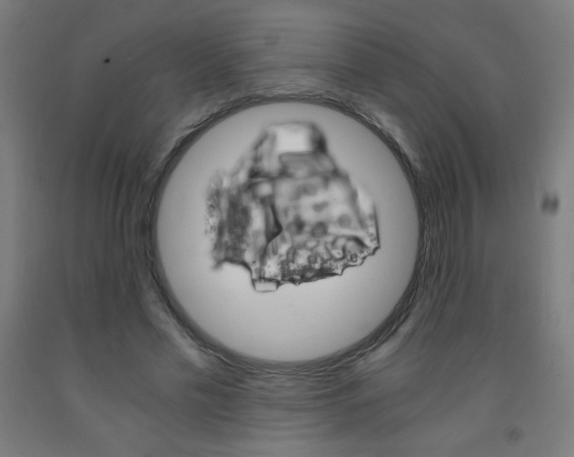 X0000093230589200709261511