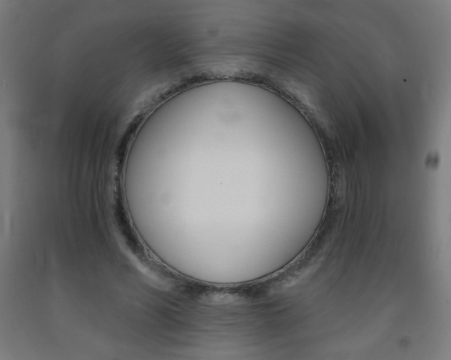 X0000093230590200709261511