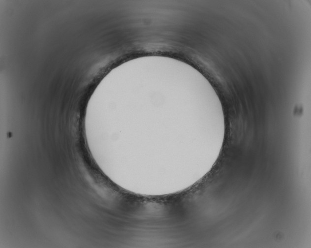 X0000093230592200709261511