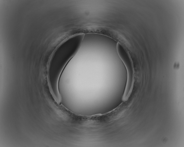 X0000093230593200709261511