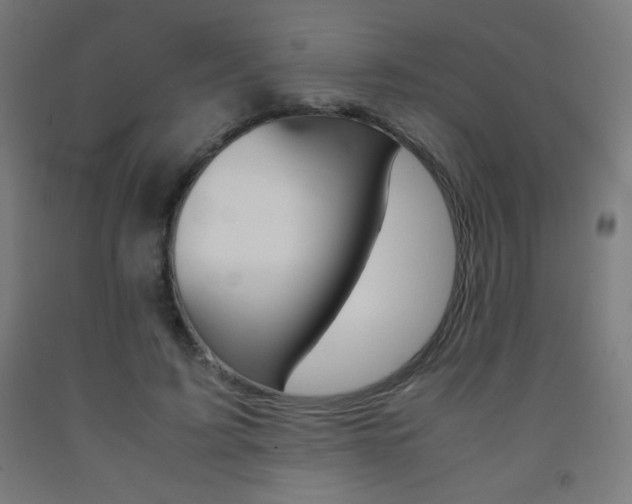 X0000093230595200709261511