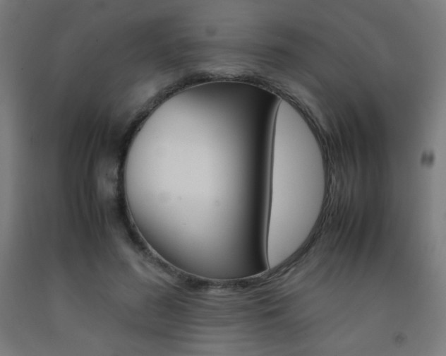 X0000093230596200709261511
