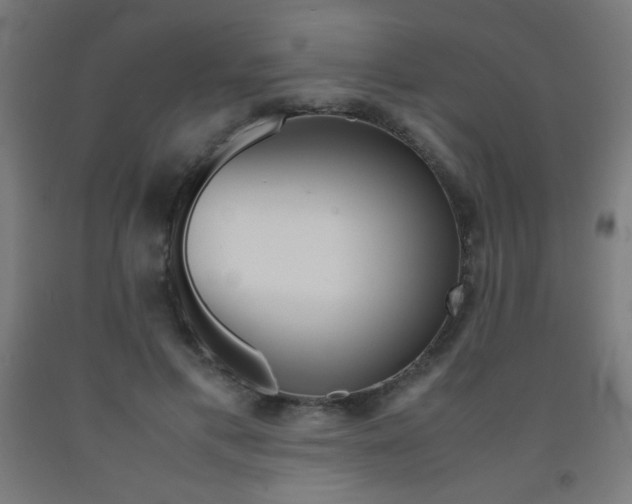 X0000093230597200709261511