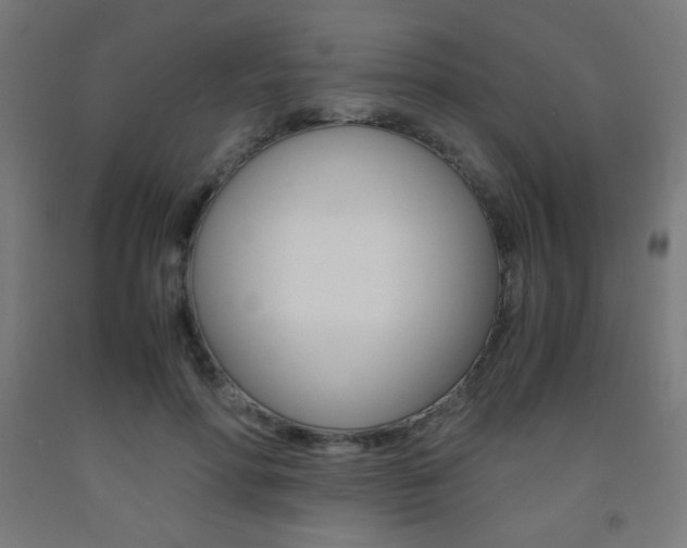 X0000093230598200709261511