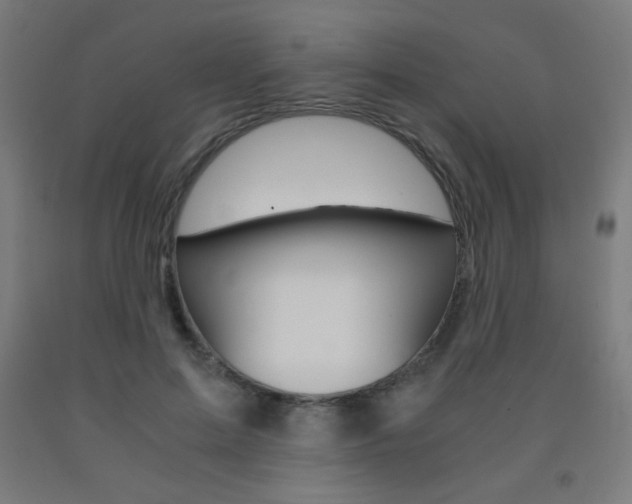 X0000093230599200709261511