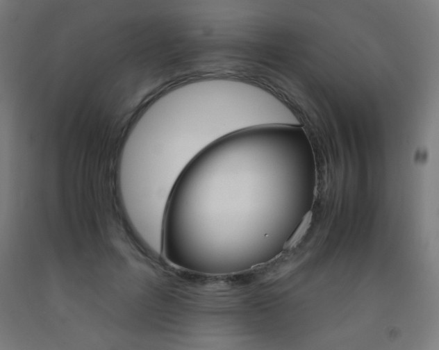 X0000093230600200709261511