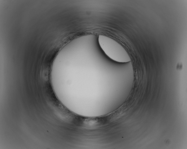 X0000093230602200709261511