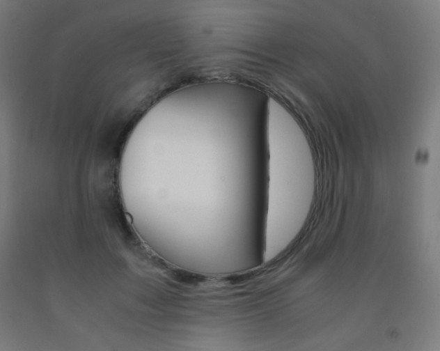 X0000093230603200709261511