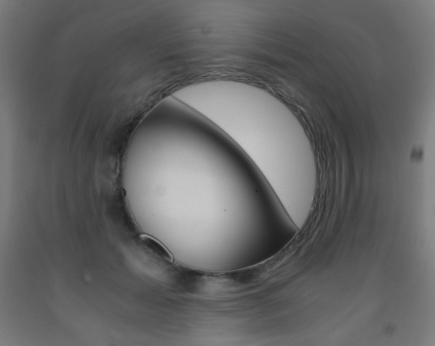 X0000093230605200709261511