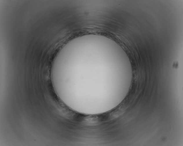 X0000093230606200709261511