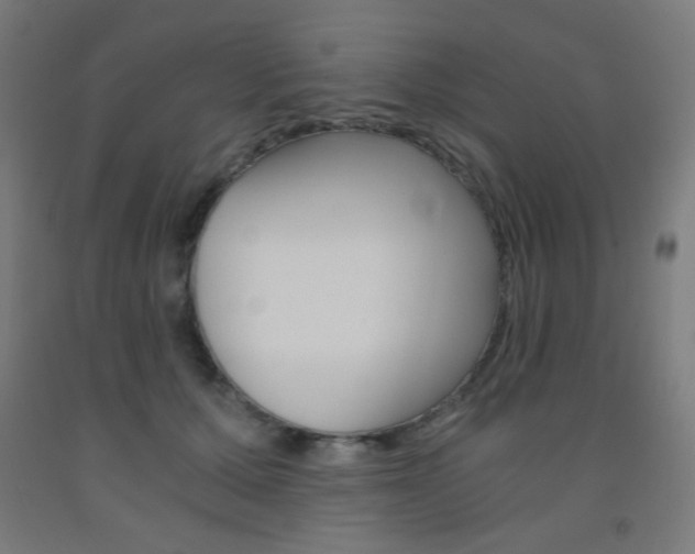 X0000093230607200709261511
