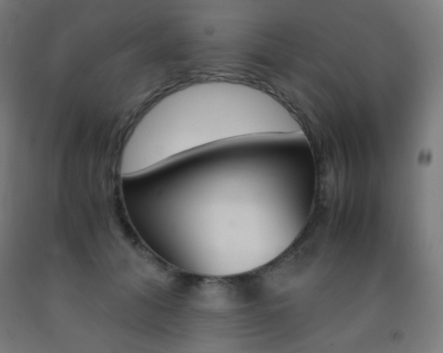 X0000093230608200709261511