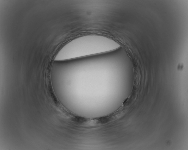 X0000093230609200709261511