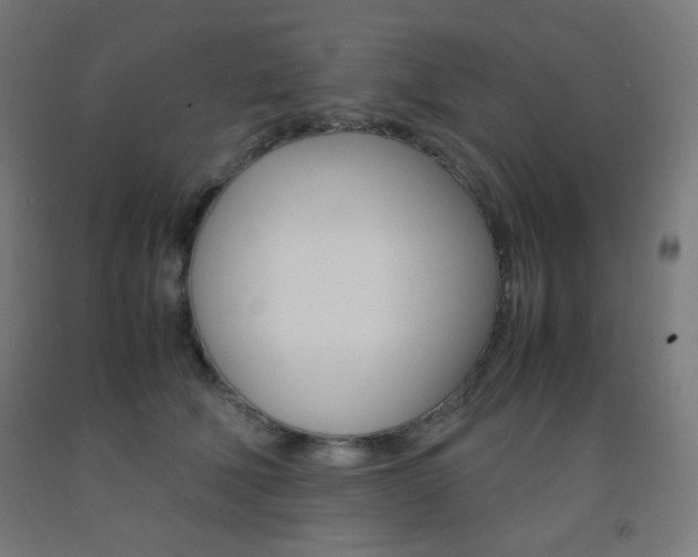 X0000093230610200709261511