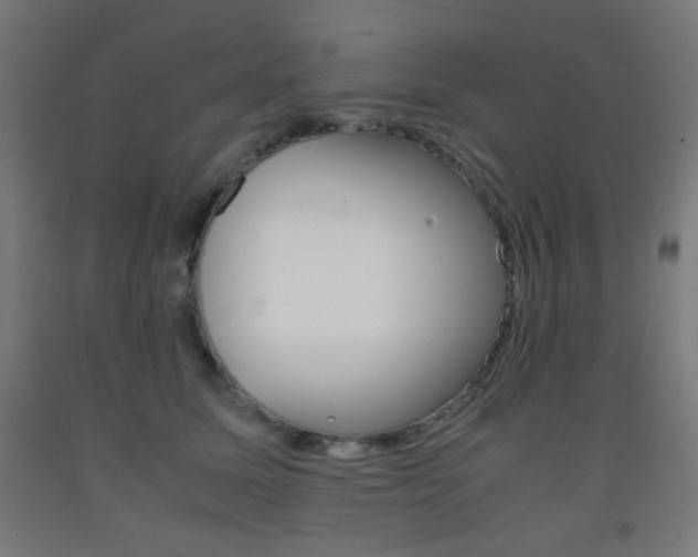 X0000093230611200709261511