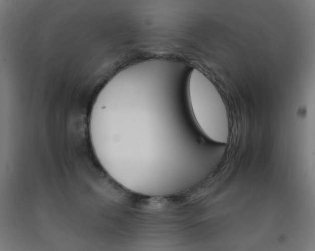 X0000093230612200709261510