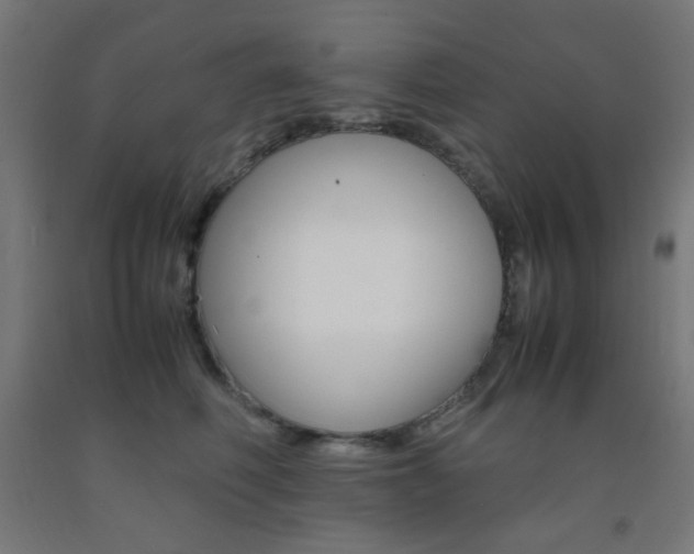 X0000093230614200709261510