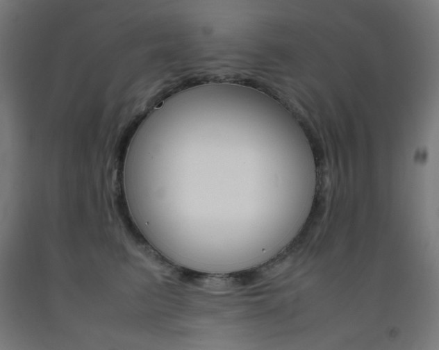 X0000093230615200709261510